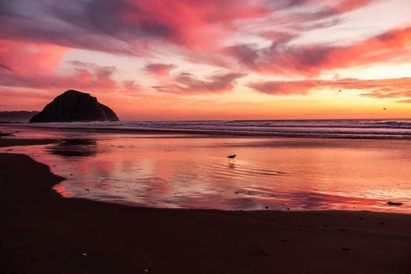 Hotel Dallas - imagen 8