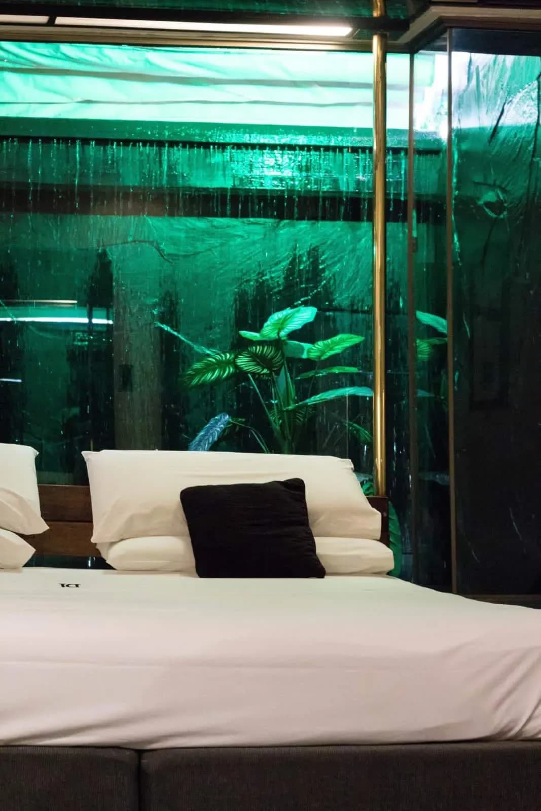 Hoteles RJ - imagen 30