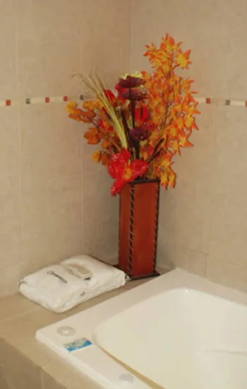 Suite con Jacuzzi - 4