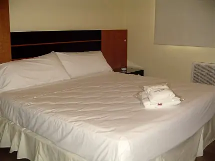 suite1