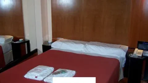 guiadetelos-amapola4